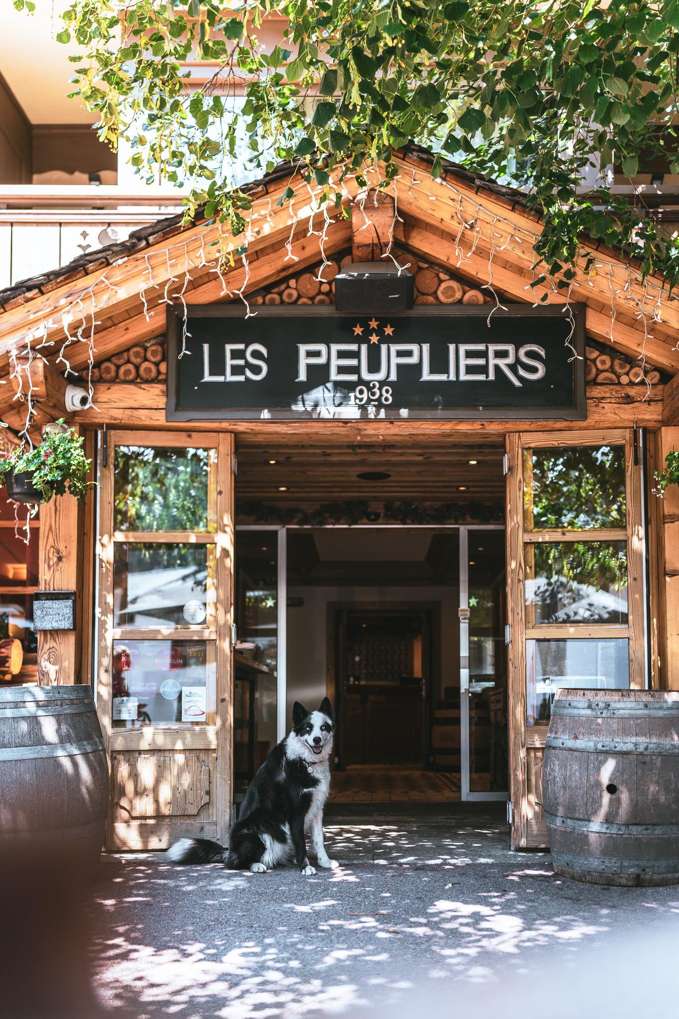 Hotel Les Peupliers คูร์เชอแวล ภายนอก รูปภาพ